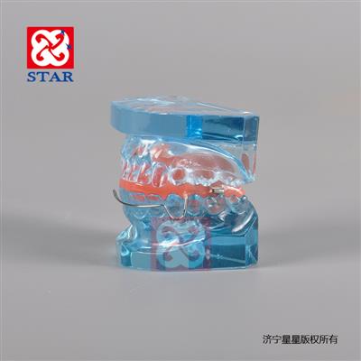 功能性矯正器M3006