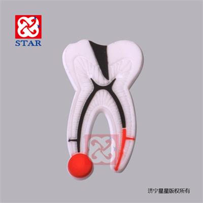 塑料牙齒ZYR3006